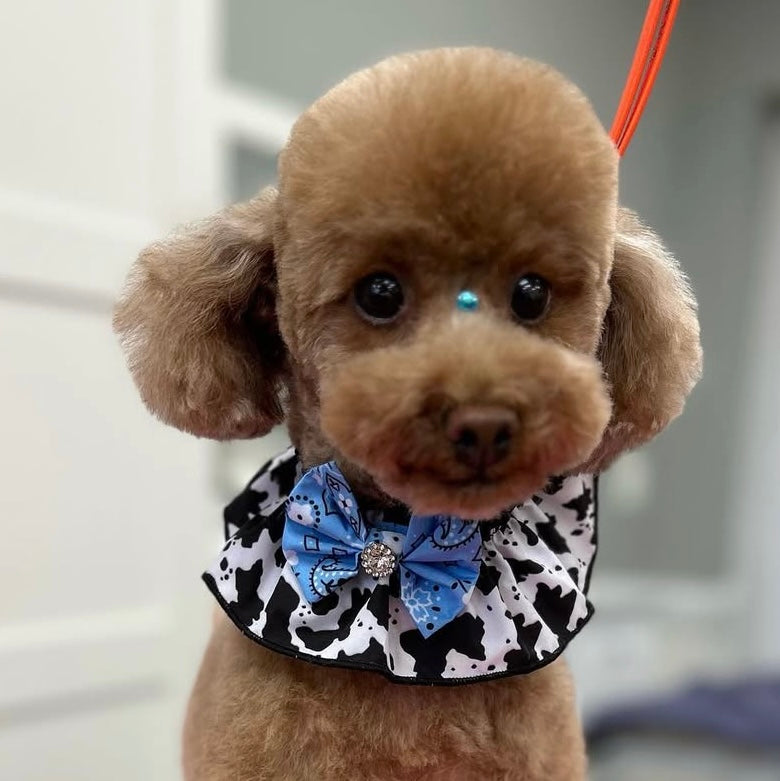 COW PRINT TIE-ON RUFFLE