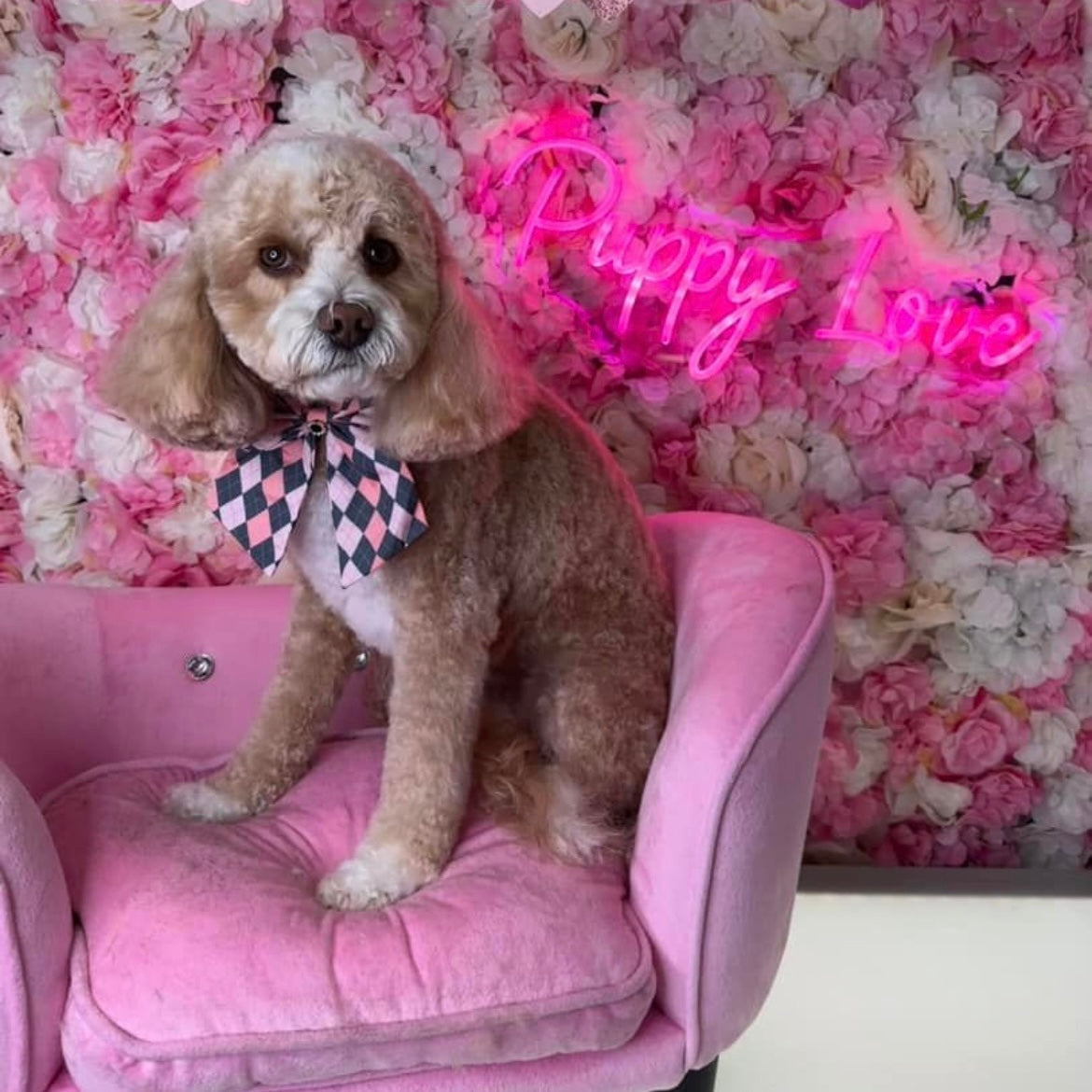 Pink and grey ARGYLE bow tie with tails(6 INCH) 6 pack