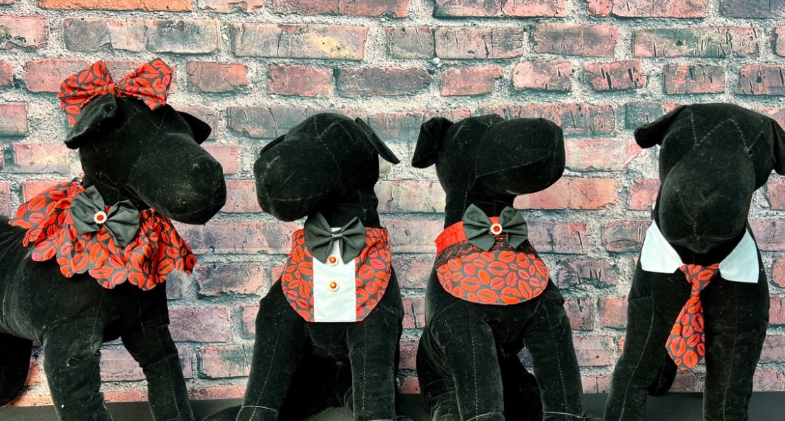 KISS THIS SHIRT COLLAR & TIE - 6 PACK