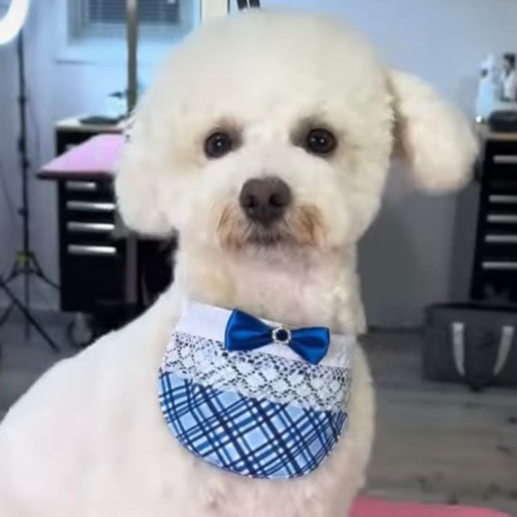 BLUE PLAID GIRL BIB- 4 PACK