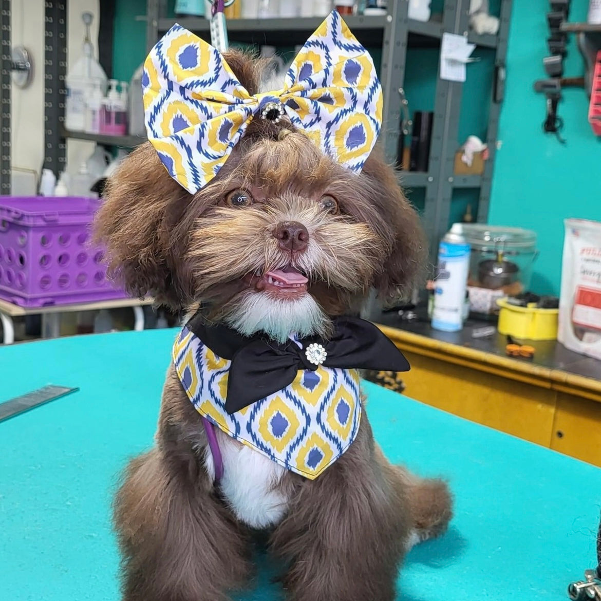 GOLD AND GREY OVER SIZED BOW- 6 PACK