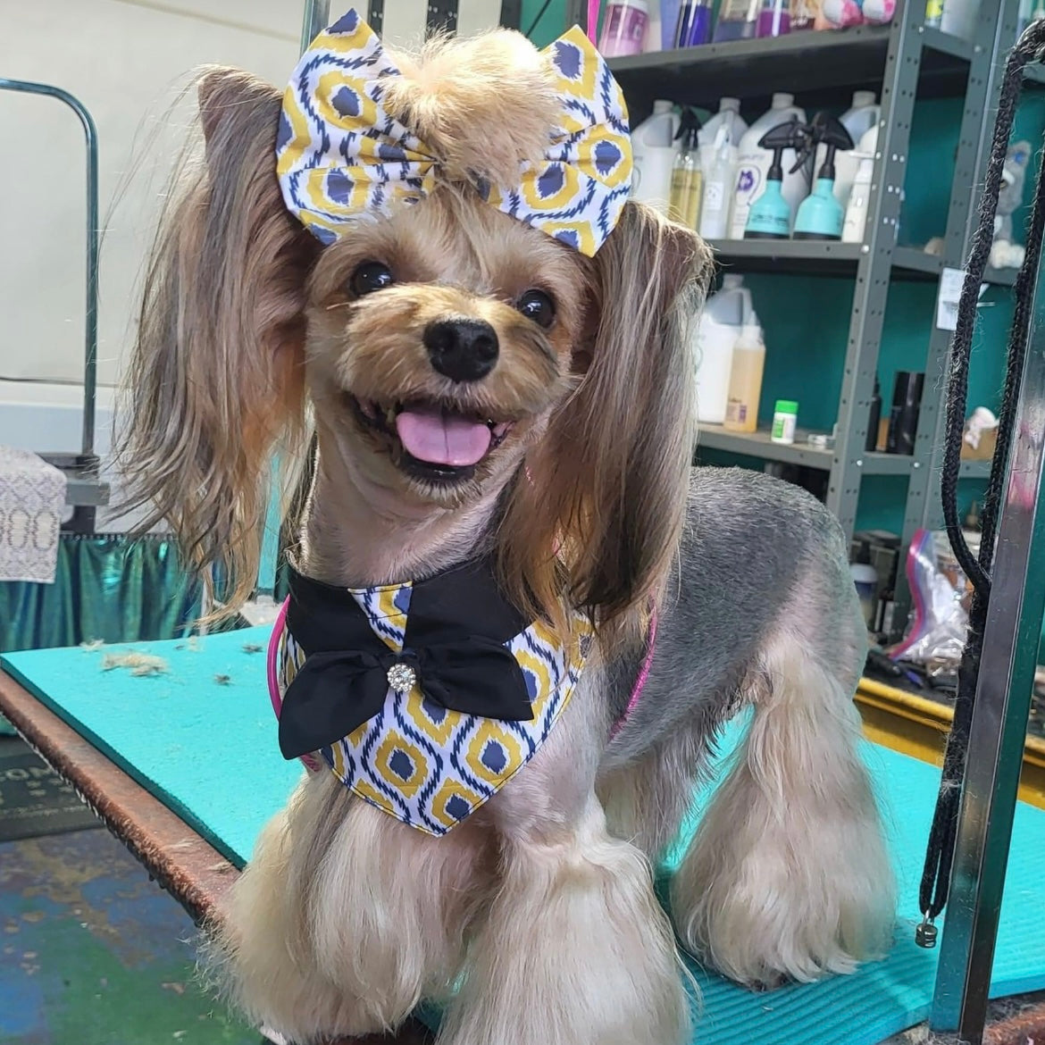 GOLD AND GREY OVER SIZED BOW- 6 PACK