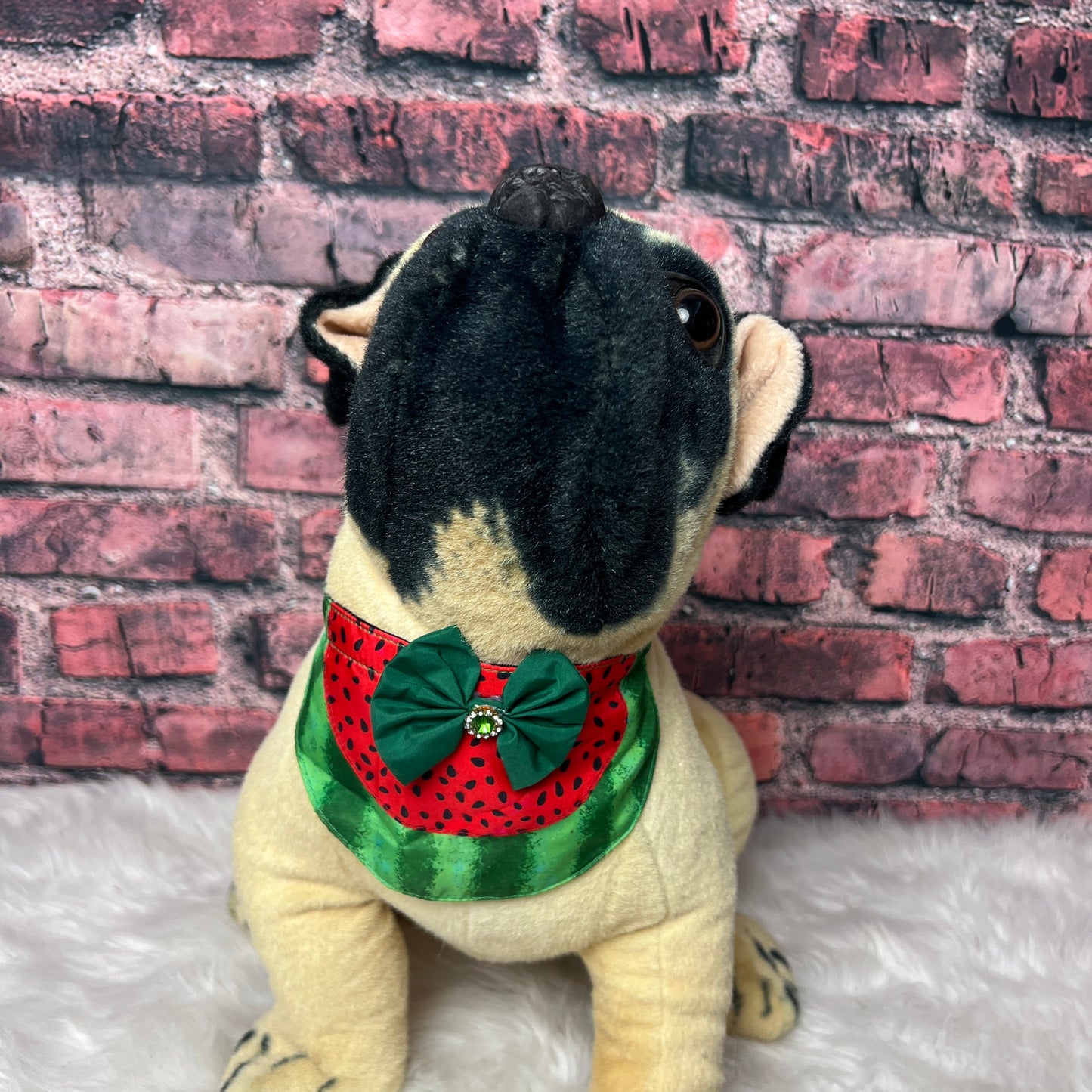 WATERMELLON BUNDLE - 12 PC