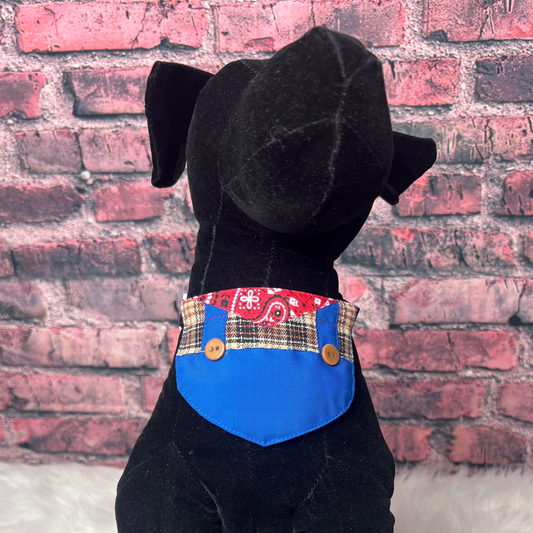 Country Cutie Tiny Boy Bib - 4 Pack