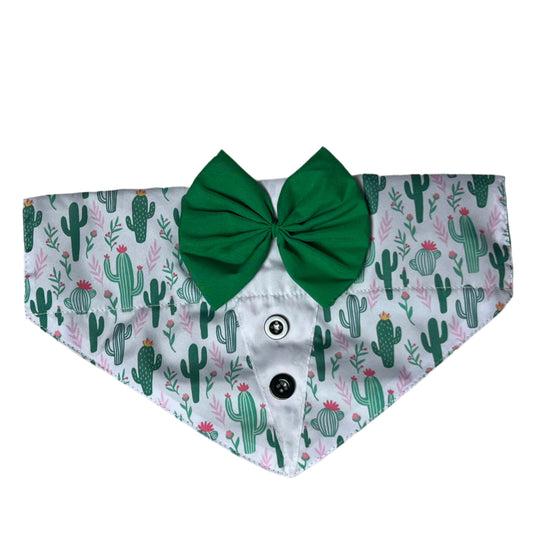 CACTUS SHIRT OTC BANDANA - 4 PACK