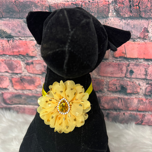 YELLOW  WITH GOLD DOTS RHINESTONE NECKBAND - 5 PACK