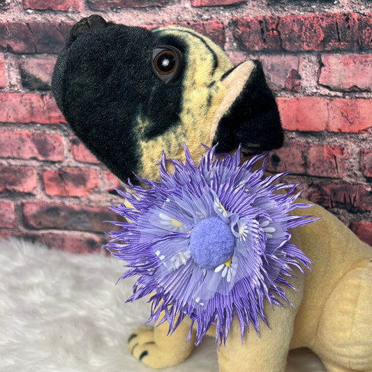 GIANT PURPLE DAISY NECKBAND-6 PACK