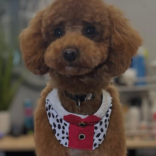 Dalmatians W/ Fur Bib - 4 Pack