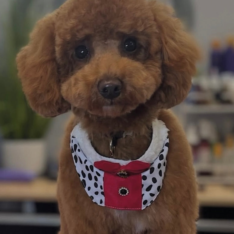 Dalmatians W/ Fur Bib - 4 Pack