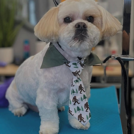 SASQUATCH WITH TREES SHIRT COLLAR TIE LARGE - 4 PACK