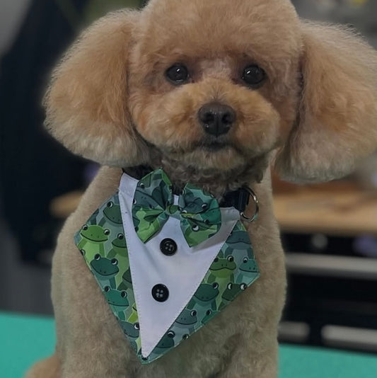 FEELIN' FROGGY BIB-4 PACK