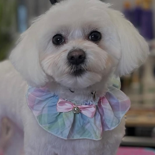 Easter Plaid Ruffle - 5 Pack