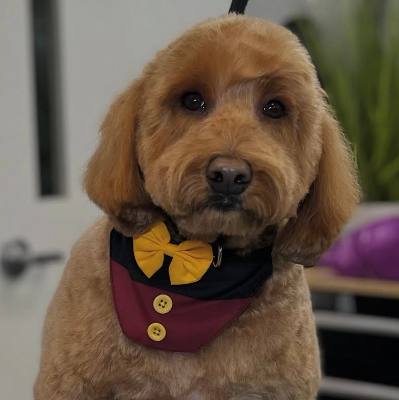 MICKEY INSPIRED BIB - 4 PACK