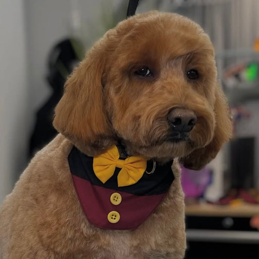 MICKEY INSPIRED BIB - 4 PACK