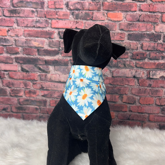 Daisy Bandana - S/M -10 pack