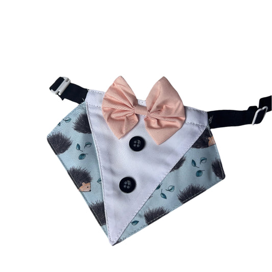 Porcupine Boy Bib - 4 pack