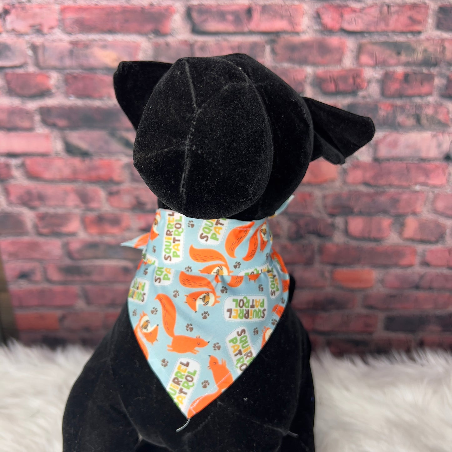 Squirrel Patrol S/M  Bandana -10 pack(16 INCH)