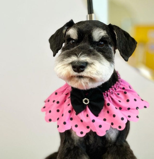 PINK W/ BLACK DOTS TIE ON RUFFLE 5 PACK- XS/S