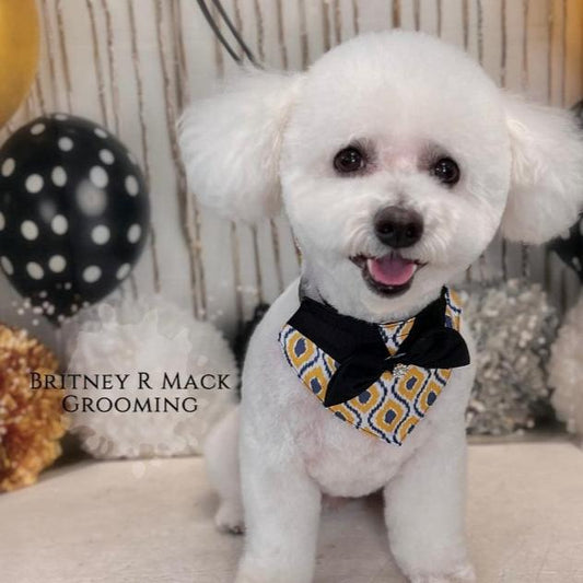 GOLD AND GREY BIG GIRL BIB- 4 PACK