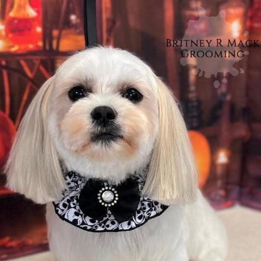 JACK SKELLINGTON FULL RUFFLE - 4 PACK