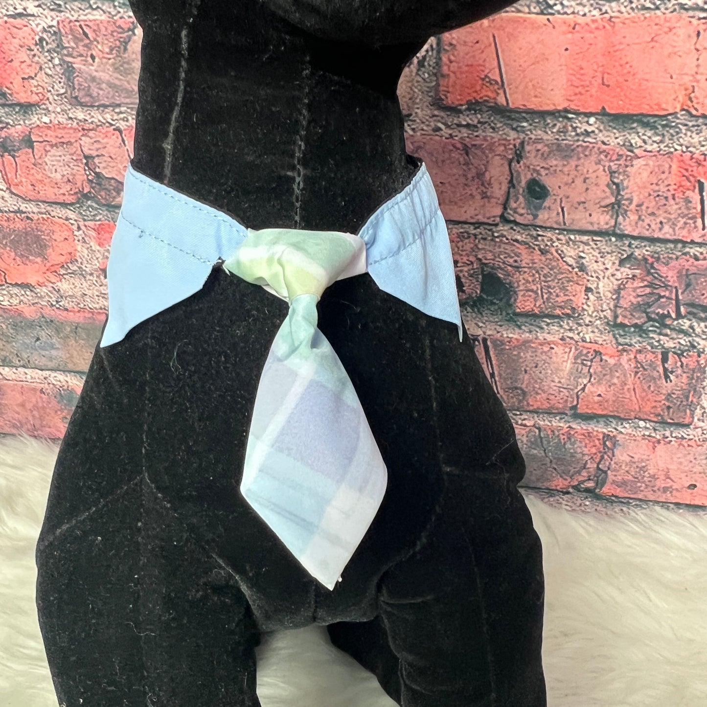 Easter Plaid Shirt Collar & Tie - 6 Pack - S/M