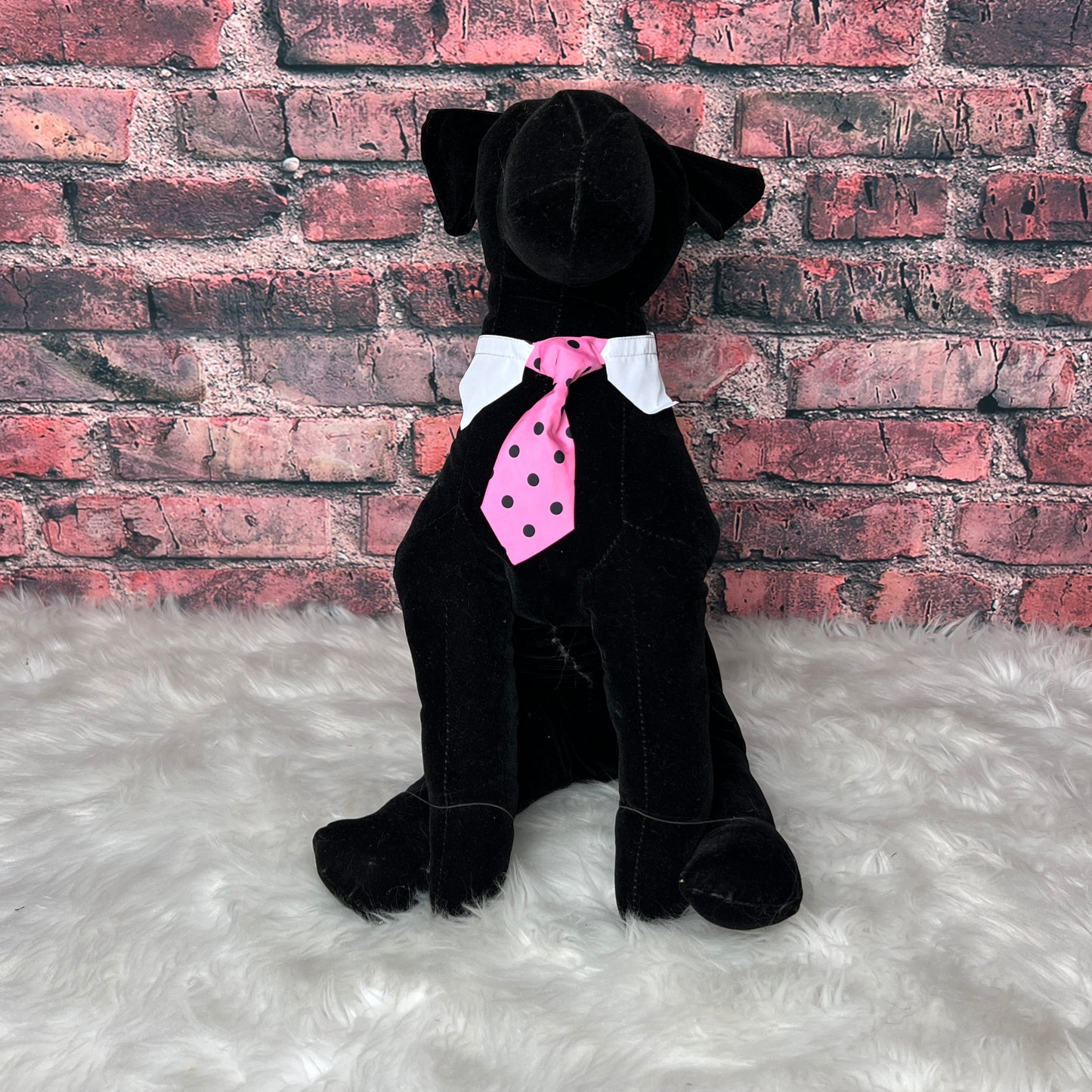 PINK W/ BLACK DOTS SHIRT COLLAR NECKTIE 6 PACK