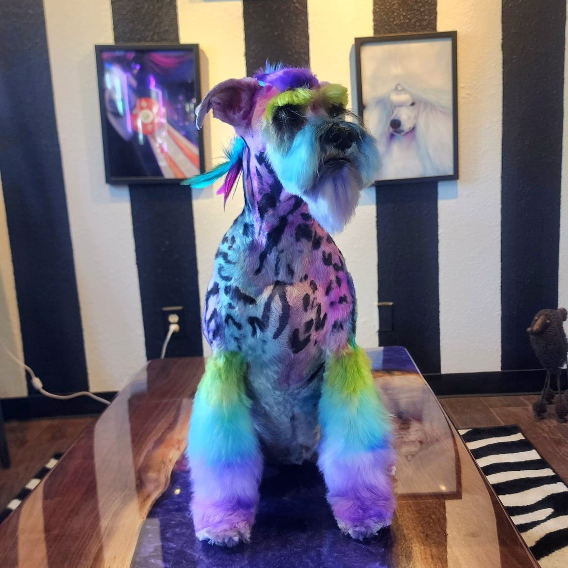 SALON CREATIVE RETREAT- AUGUST 7-10 2026