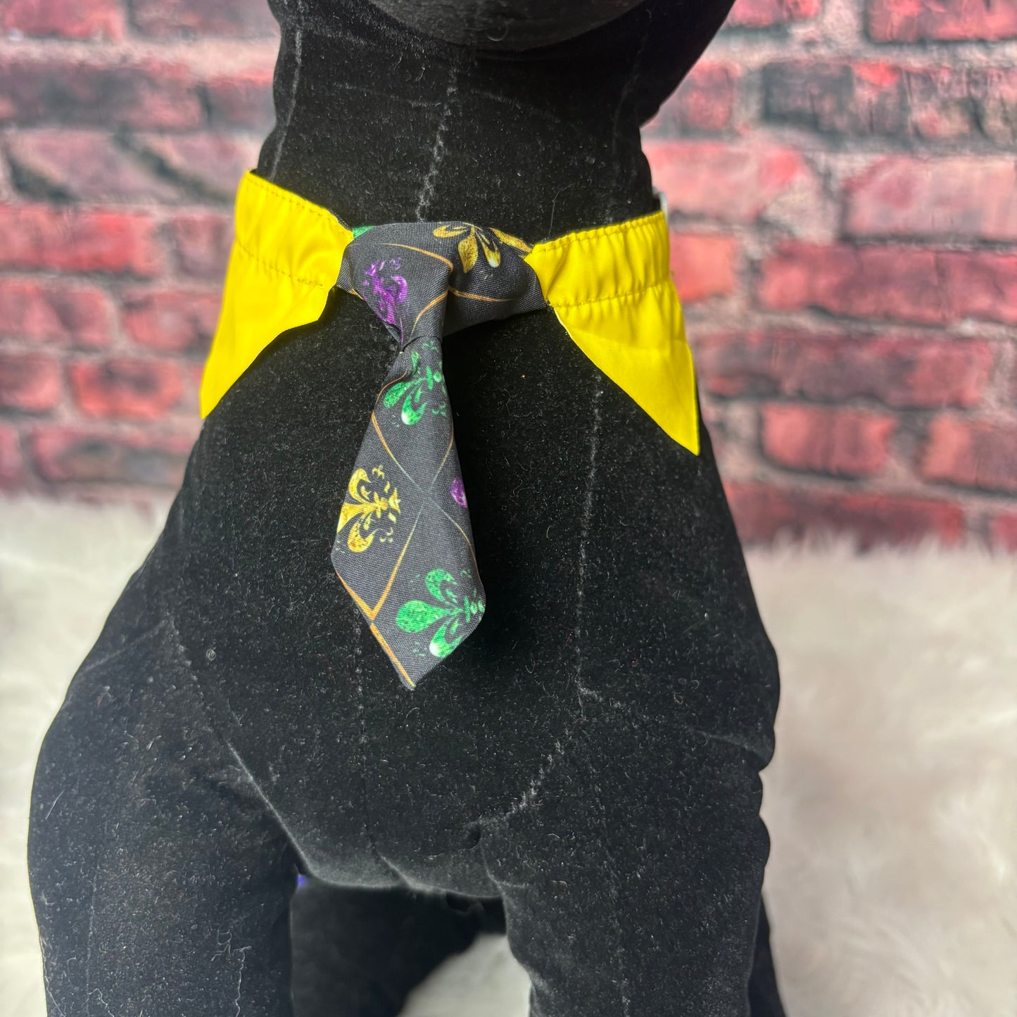 Mardi Gras Shirt & Tie S/M - 6 Pack