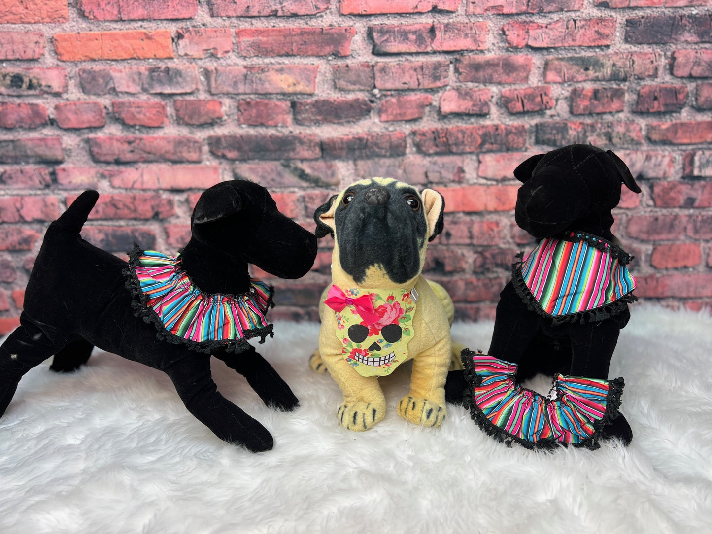 CINCO DE MAYO FULL RUFFLE- 4 PACK