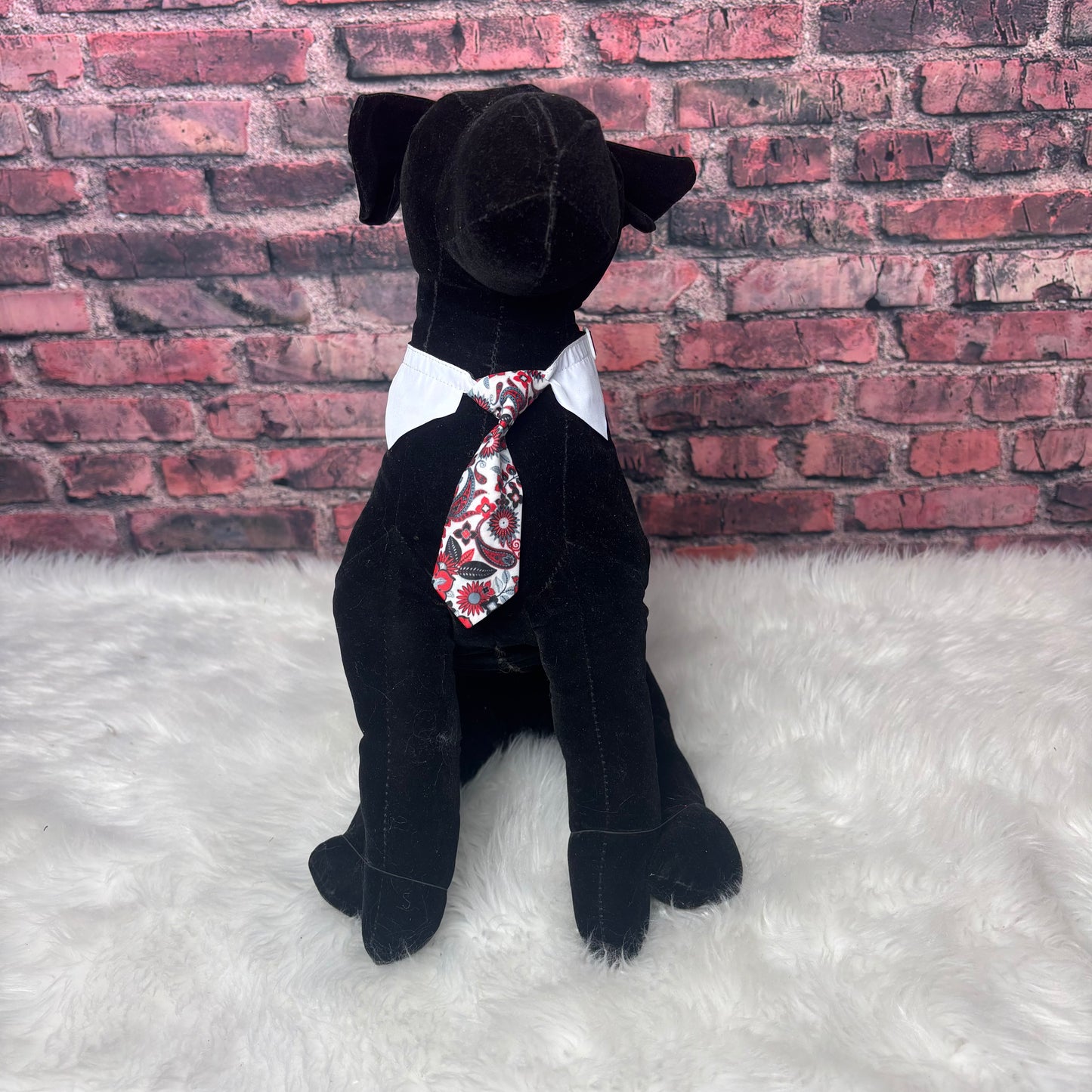 Red Paisley Shirt Collar & Tie - 6 Pack