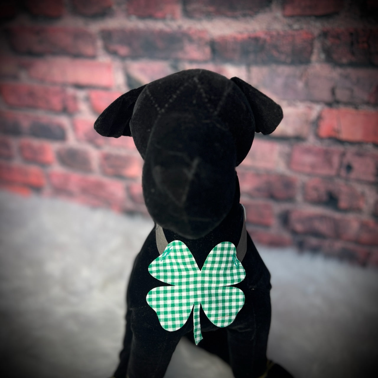 SHAMROCK BIB 6 PACK