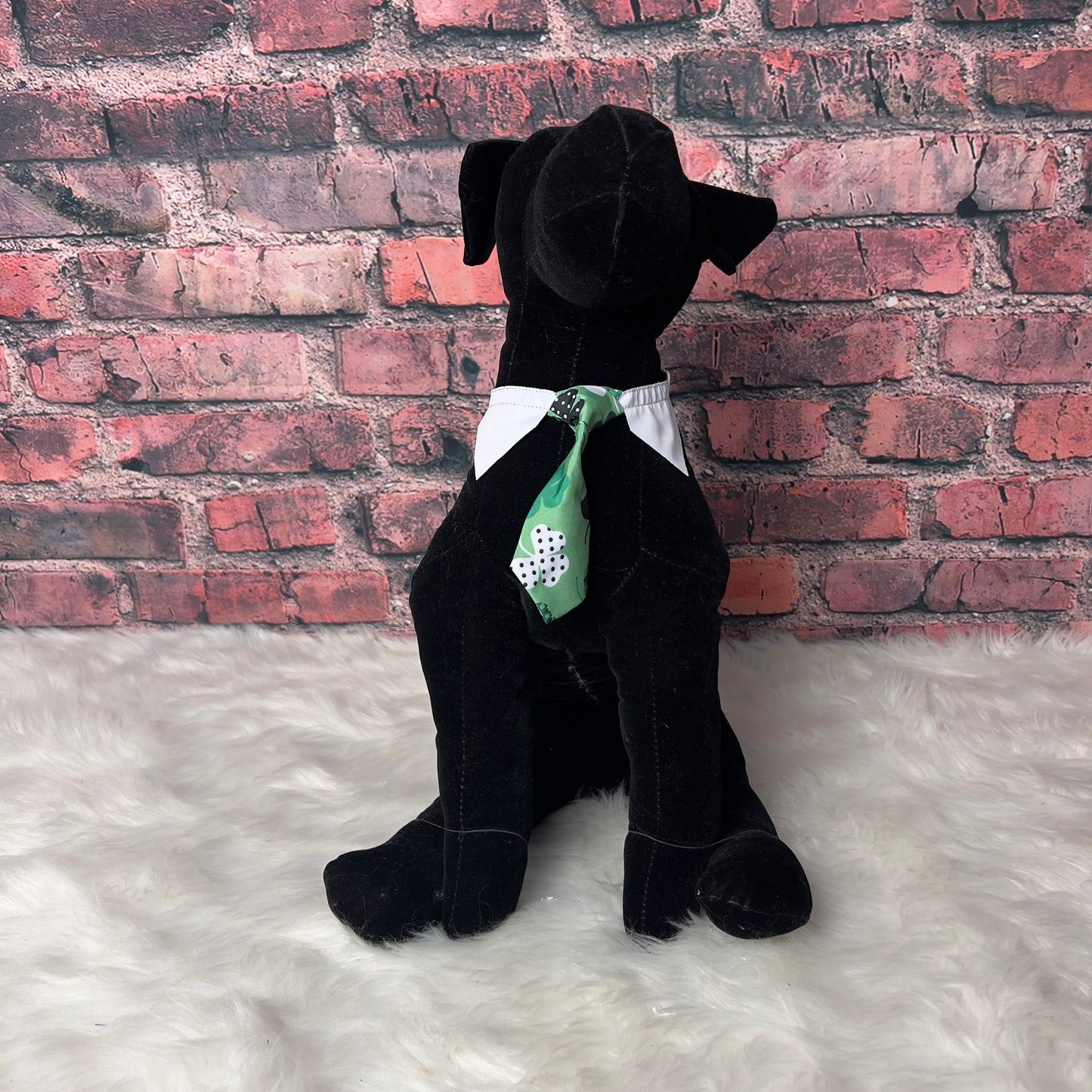 LUCKY DOG SHIRT COLLAR TIE- 6 PACK