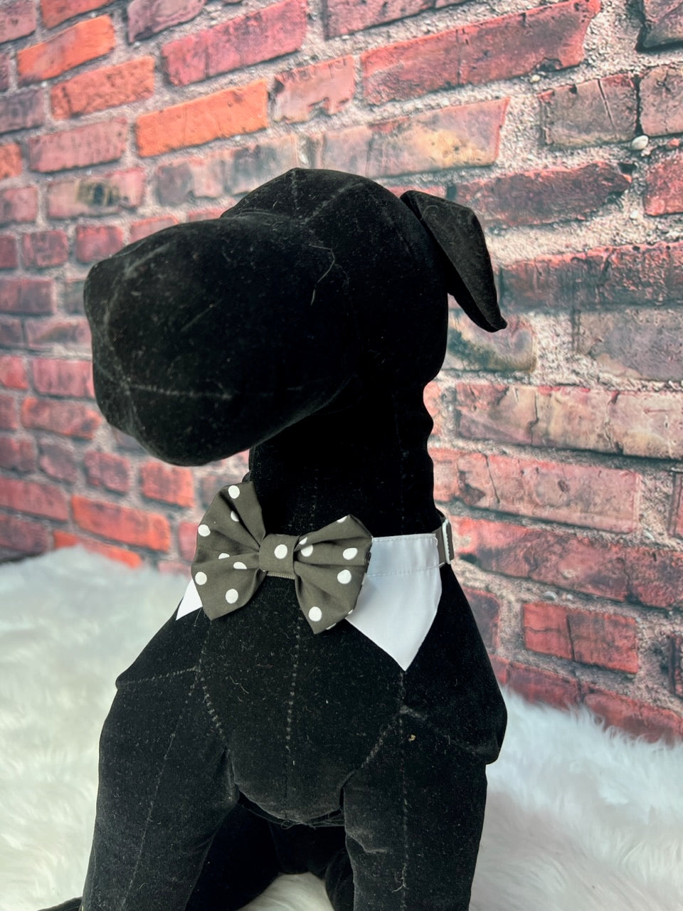 BLACK AND WHITE POLKA DOT SHIRT COLLAR AND BOWTIE 6 PACK M/L