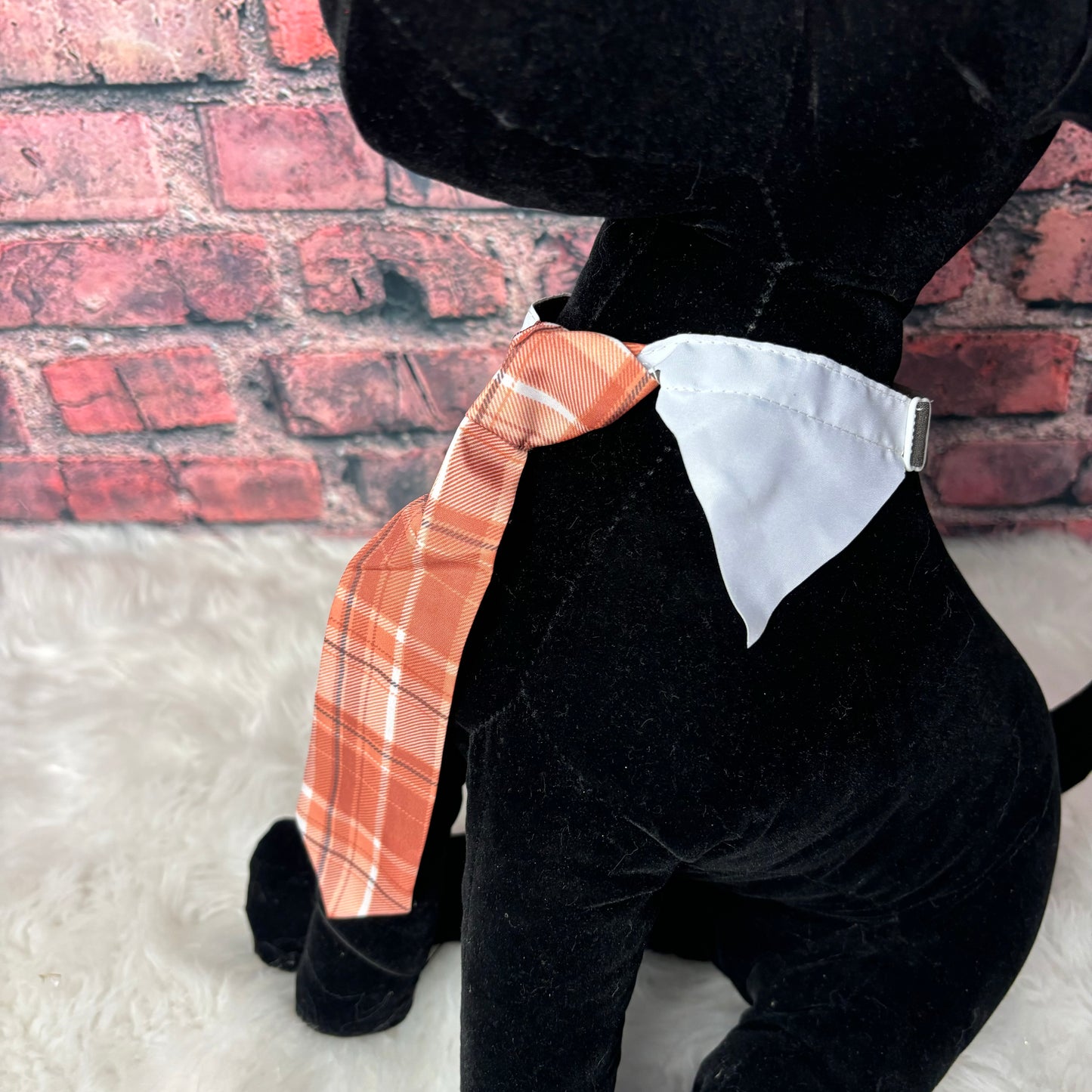 ORANGE PLAID SHIRT COLLAR & TIE M/L - 4 PACK