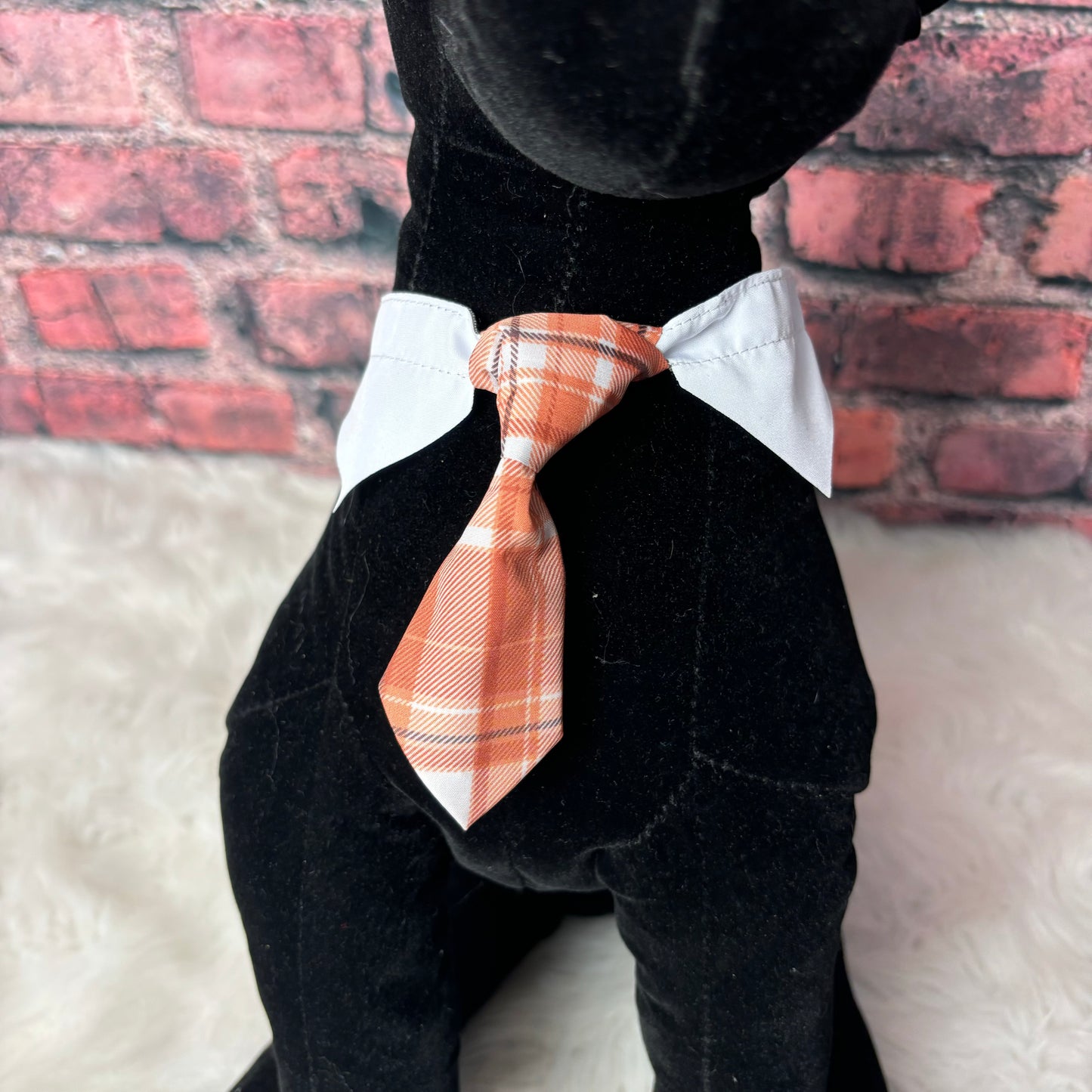 ORANGE PLAID SHIRT COLLAR & TIE S/M- 6 PACK