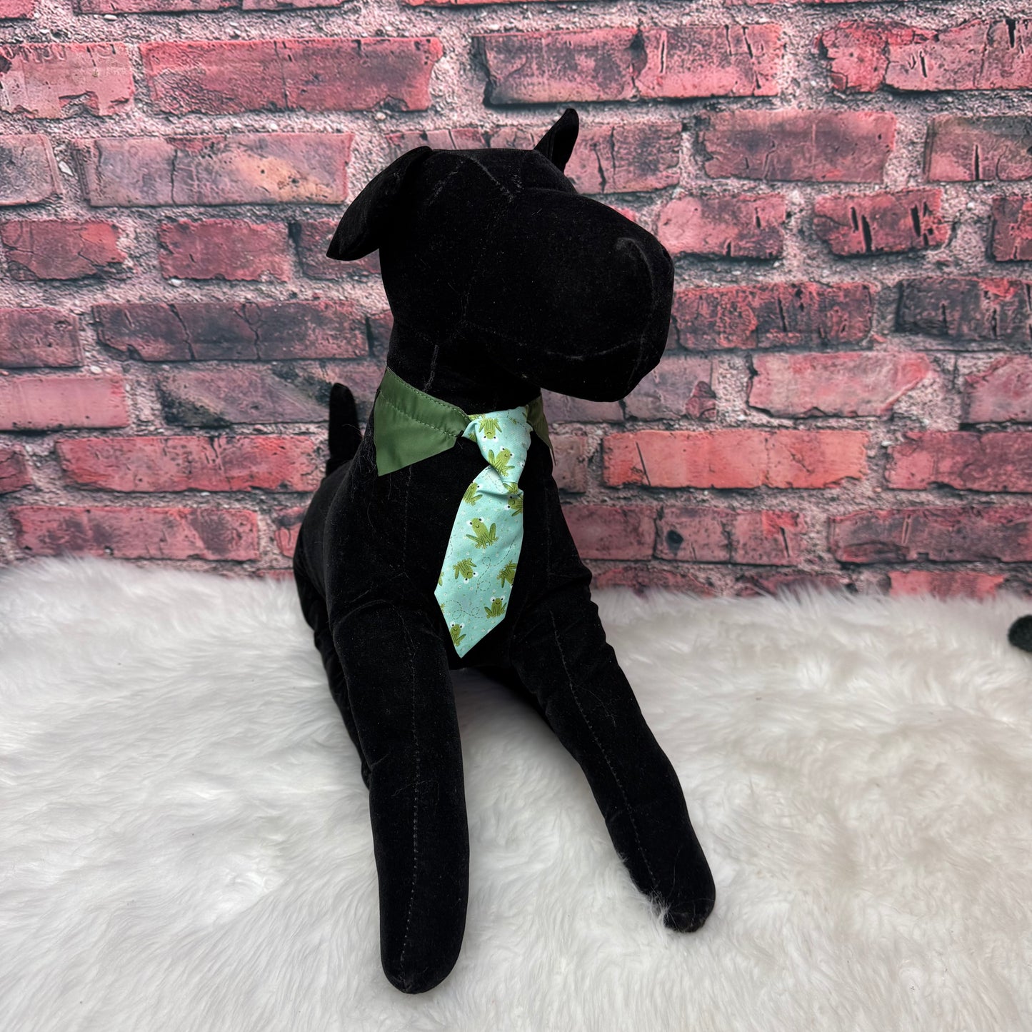 LIVE FROGGY SHIRT COLLAR W/TIE Small 4 pack