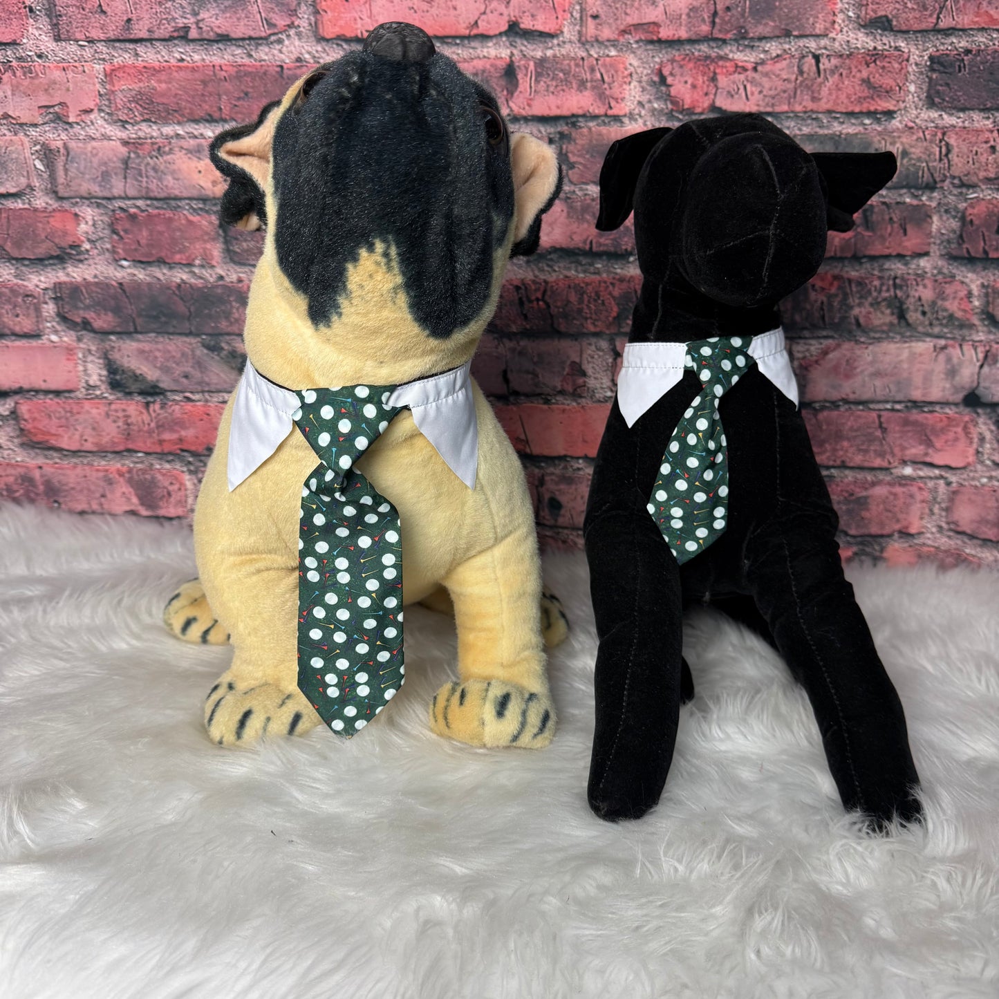 LIVE GOLF SHIRT COLLAR W/TIE SM