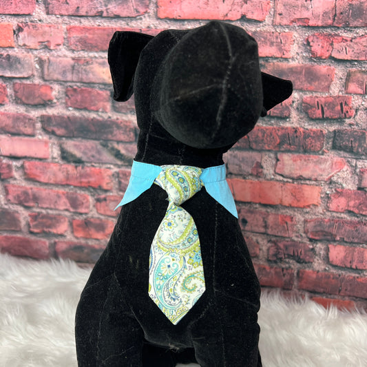 PASTEL GREEN PAISLEY SHIRT AND TIE 6 PACK SMALL