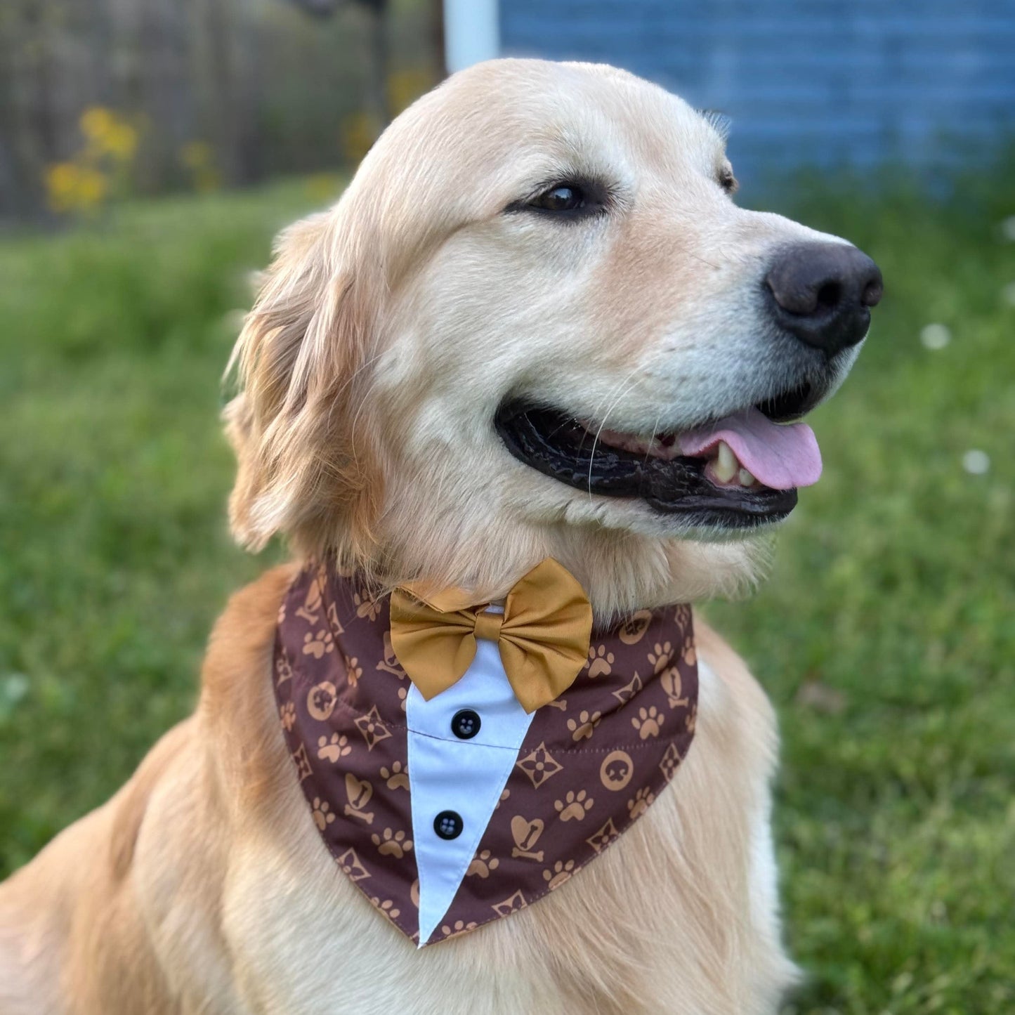 LOUIS PAWTON SHIRT OTC BANDANA  -4 PACK
