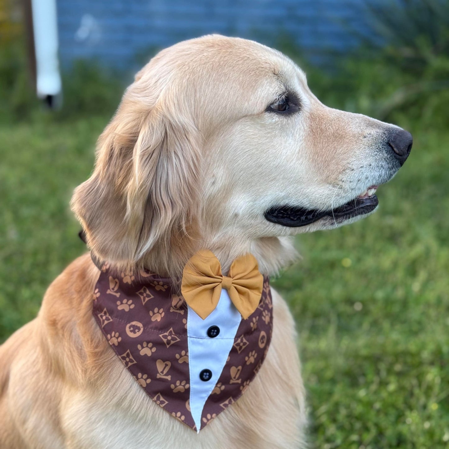 LOUIS PAWTON SHIRT OTC BANDANA  -4 PACK