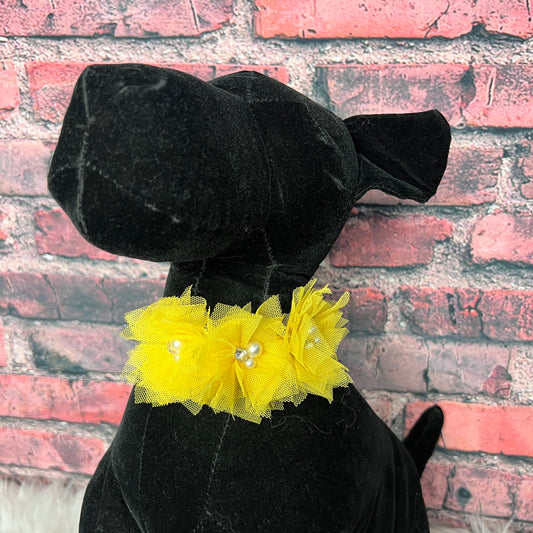 TRIPLE TULLE YELLOW 6 PACK