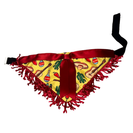 NEW FIESTA BIB -4 PACK