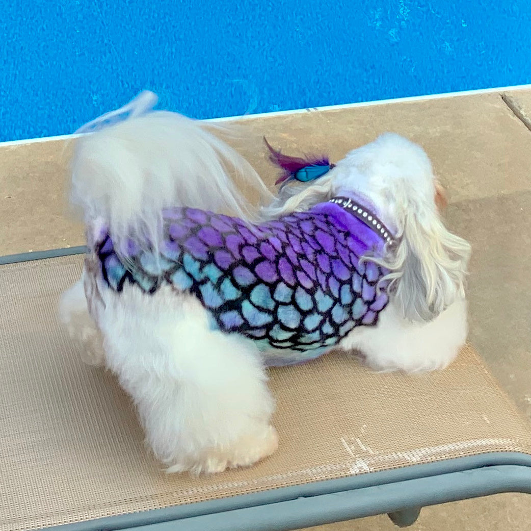 SALON CREATIVE RETREAT- AUGUST 7-10 2026