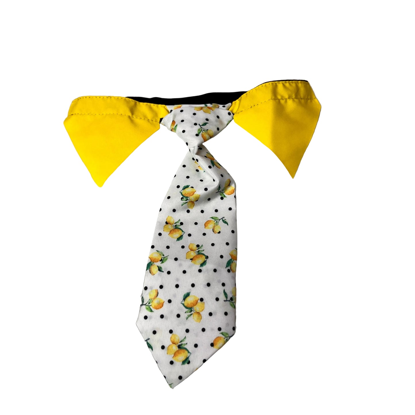 NEW Lemon Shirt Collar and Tie M/L - 4 pack