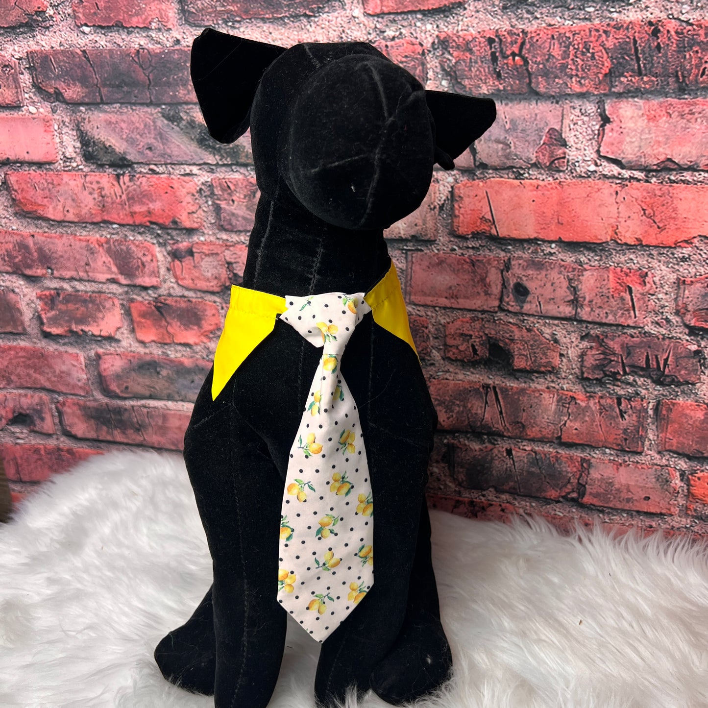 NEW Lemon Shirt Collar and Tie M/L - 4 pack