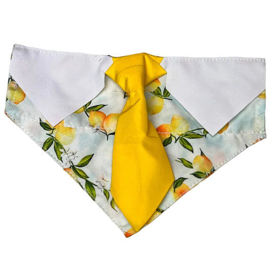 NEW LIL' BOY LEMON OTC BANDANA 4-PACK