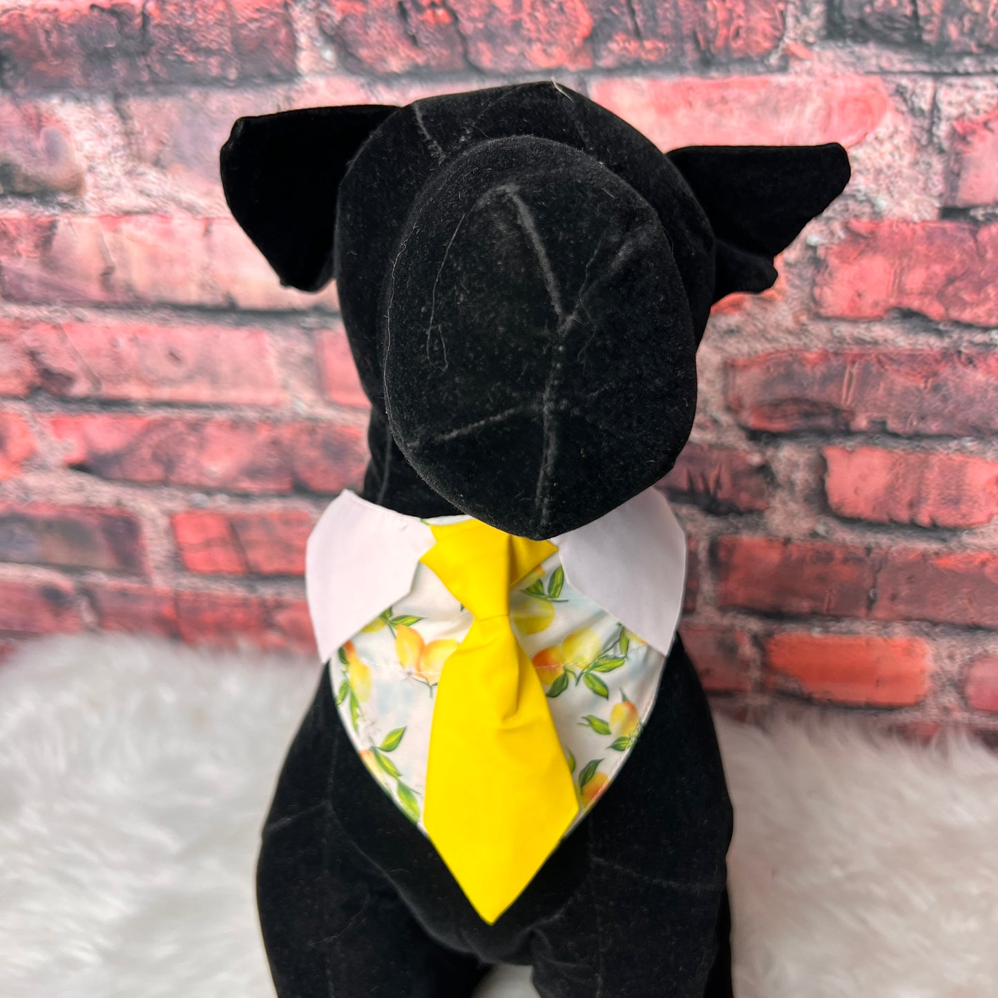 LIL' BOY LEMON OTC BANDANA 4-PACK