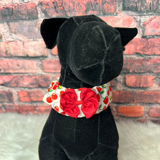 NEW CHERRY COLLAR COVER SMALL 4-PACK (Copy)