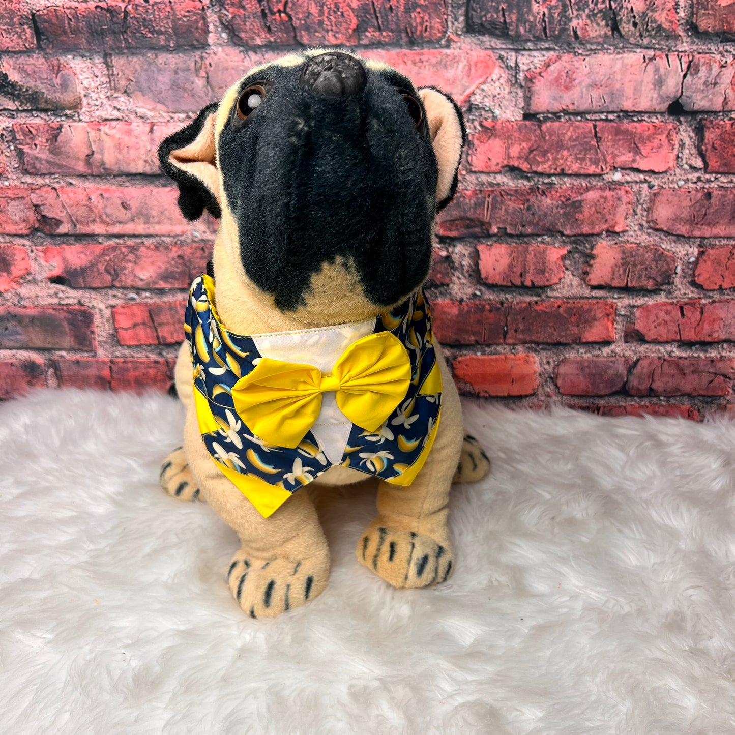 BANANA TUX OTC BANDANA 4-PACK