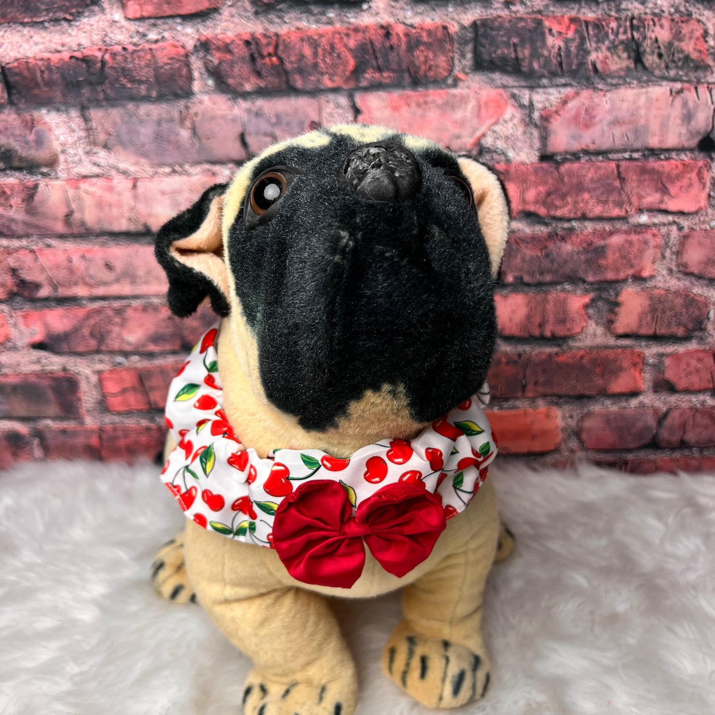 CHERRY COLLAR COVER LARGE 4-PACK